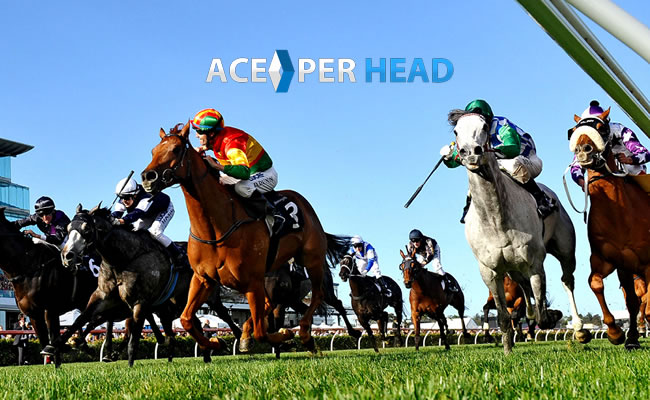 Price Per Head Horse Racing