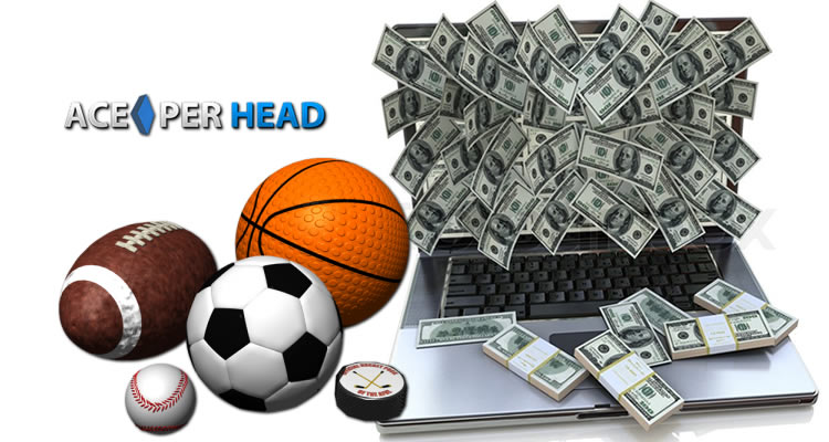 Price Per Head Services - Solid Betting Software - Best PPH Company