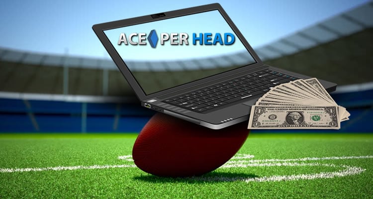 Football Bookie Software - NFL Betting Software