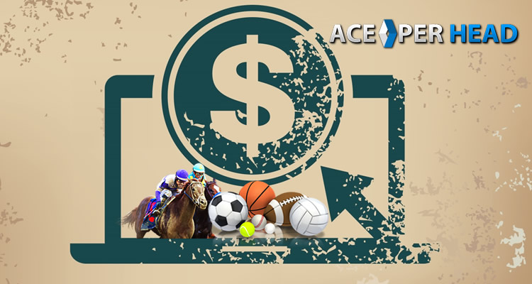 Sports Betting Solutions