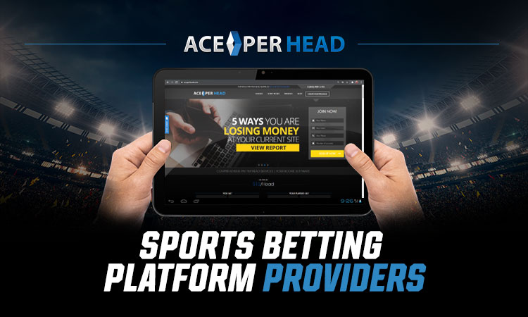 Sports Betting Platform Providers