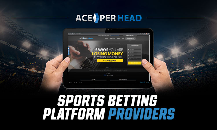 7 Tips Sports Betting Platform Providers | As Low As $3 PPH Sportsbook