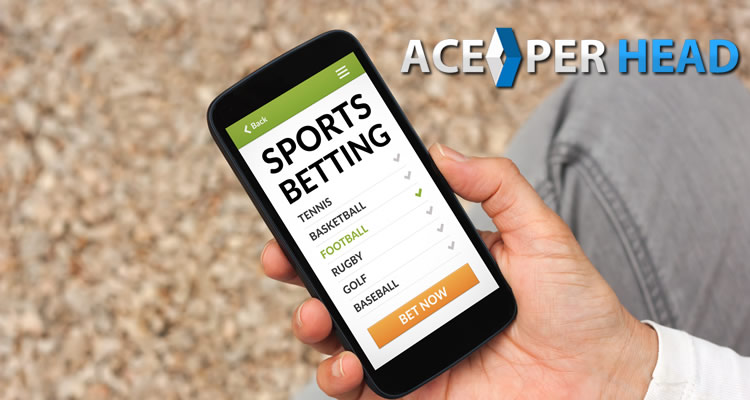 7 Personality Traits to Become a Bookie, Licensed Pay Per ...