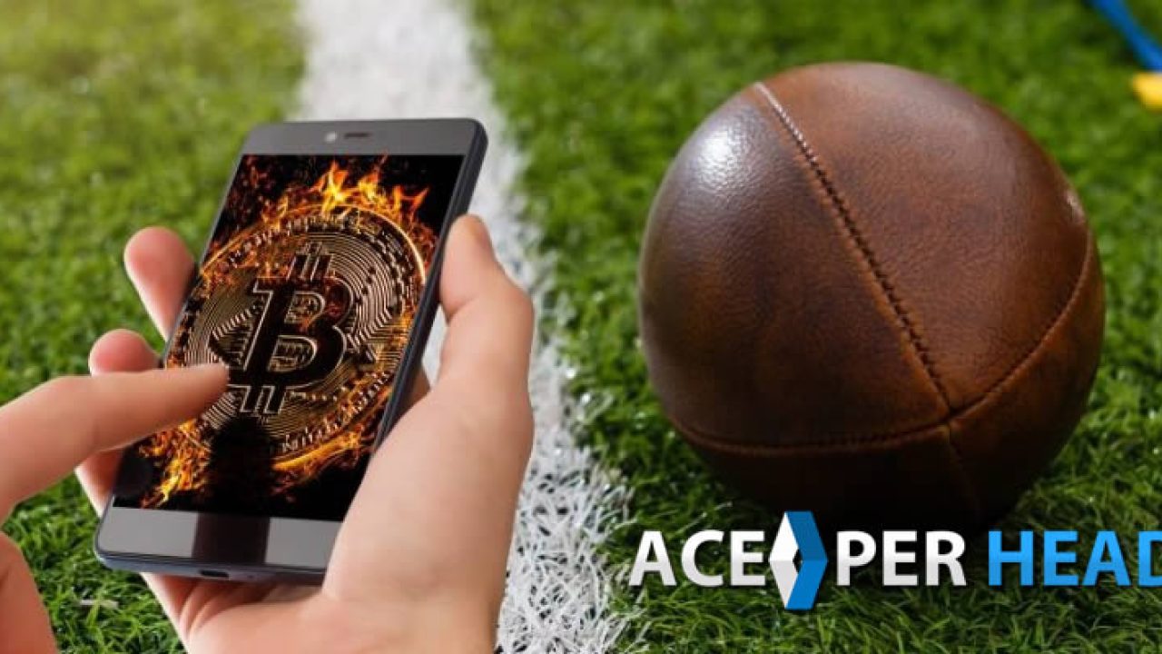Bitcoin Sportsbook Software As Low As $3 | Create Crypto Betting Site