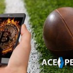 Create a Bitcoin Sportsbook