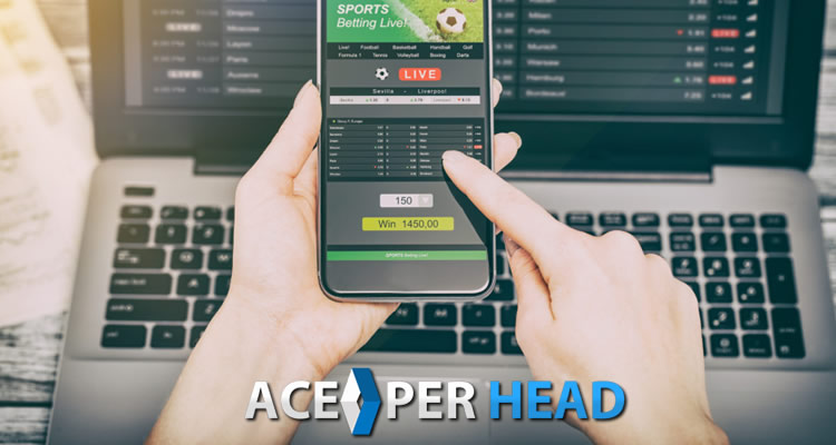 Best Pay Per Head Software