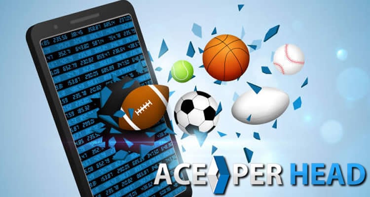 guide to online sports betting