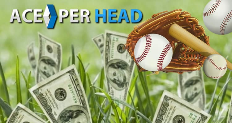 Baseball Betting Software