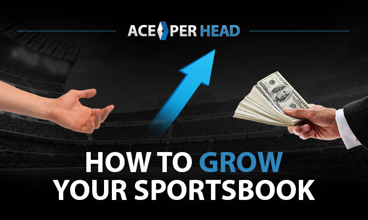 How to Grow Your Sportsbook