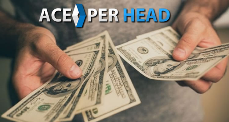 Pay-Per-Head Software