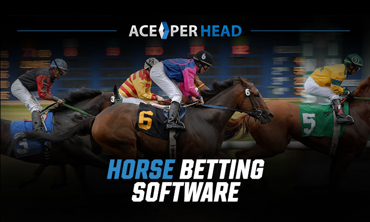 Horse Betting Software