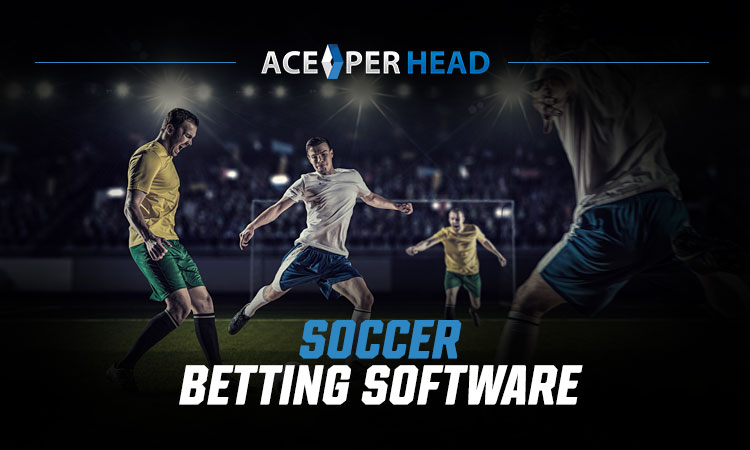 Soccer Betting Software