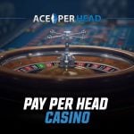 What is a Pay Per Head Casino?