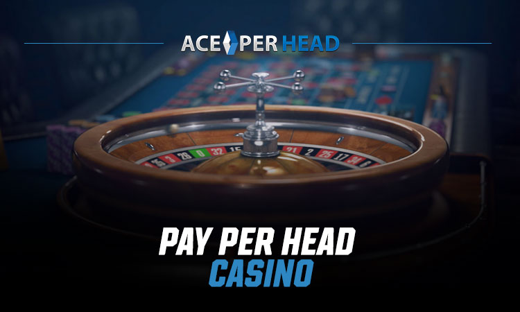 Pay Per Head Casino