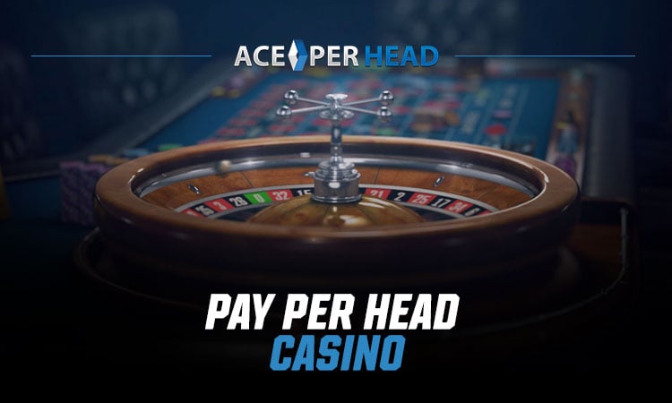 Pay Per Head Casino