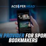 PPH Provider for Sports Bookmakers