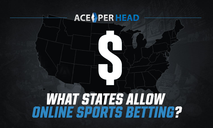 state by state guide sports betting