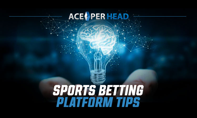 Sports Betting Platform Services