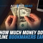 How Much Money Do Bookmakers Earn?