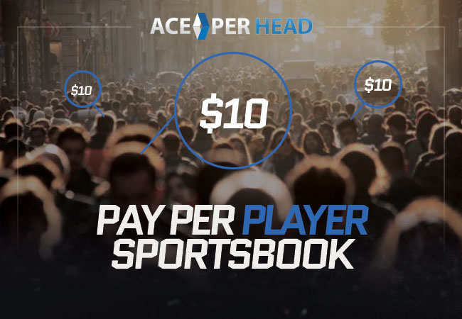 Pay Per Player Sportsbook