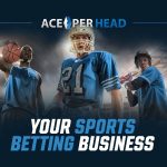 Sports Betting Business: