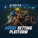 Horse Betting Platform