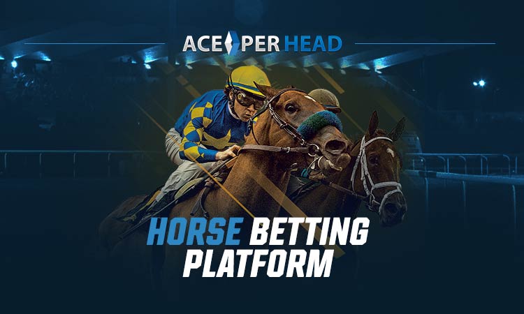 Horse Betting Platform