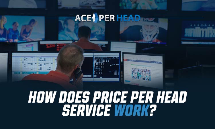 How Do Price Per Head Services Work?