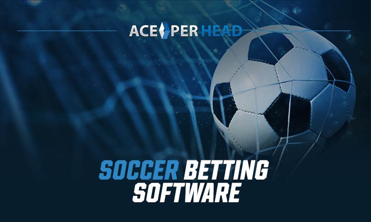 Soccer Betting Software