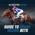 A Novice's Guide To Horse Racing Bets