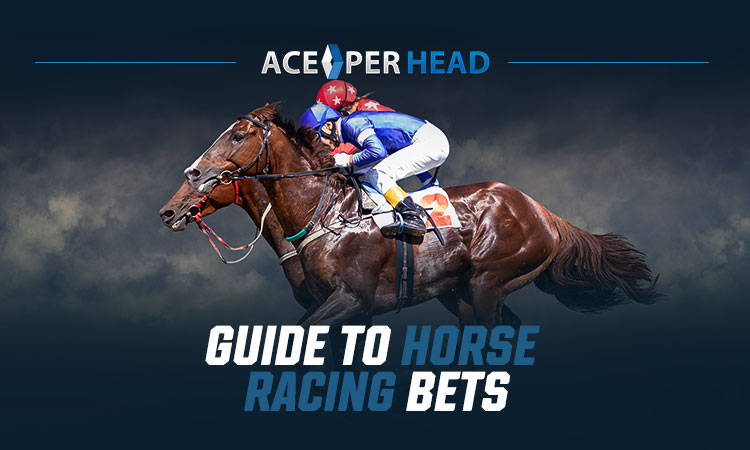 Guide To Horse Racing Bets