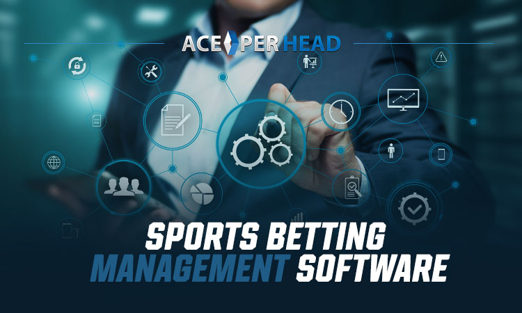 Sports Betting Management Software