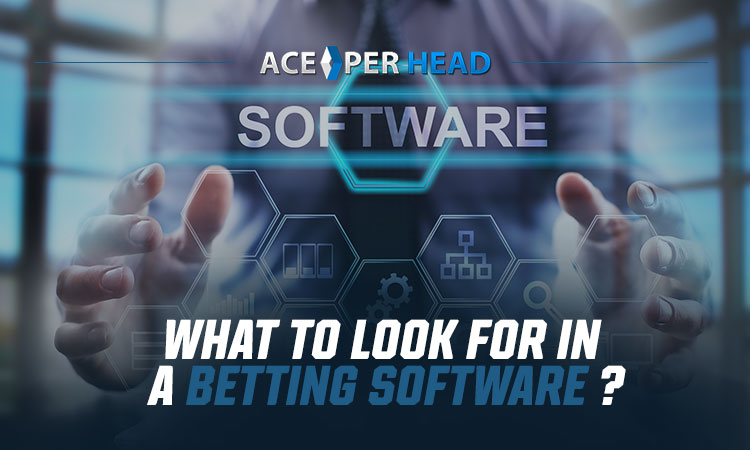 What to Look For in a Betting Software?