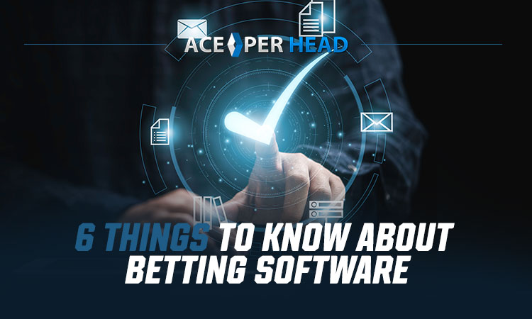 6 Things To Know About Betting Software