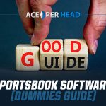 Sportsbook Software (Dummies Guide)