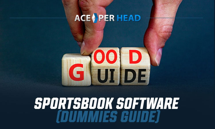 Sportsbook Software (Dummies Guide)