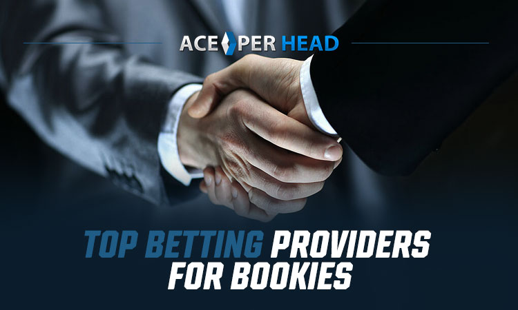 Best Sports Betting Software Providers