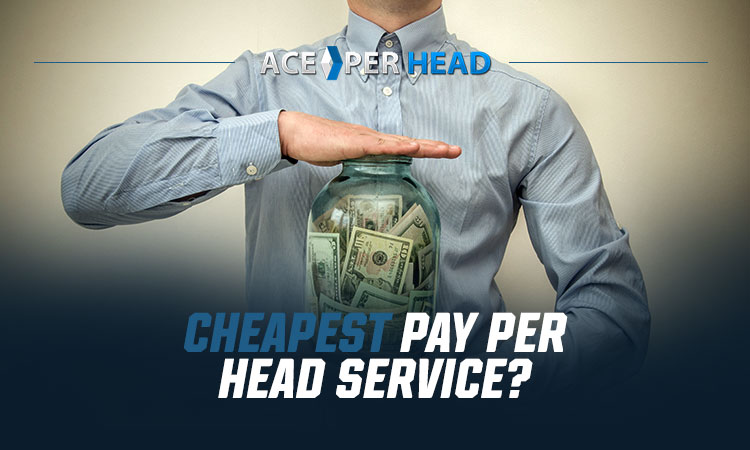 Cheapest Pay Per Head