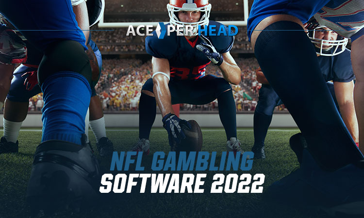 NFL Gambling Software