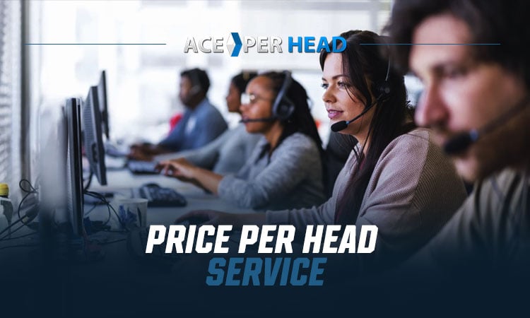 Price Per Head Service