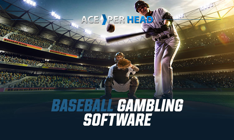 Baseball Gambling Software