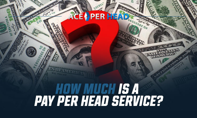 The Cost of Pay Per Head