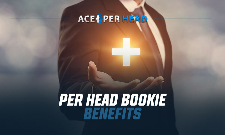 Per Head Solutions