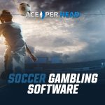 Soccer Gambling Software