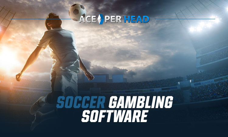 Soccer Gambling Software