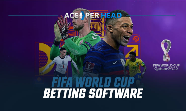World Cup Betting Software