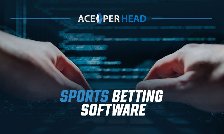 Sportsbook Software