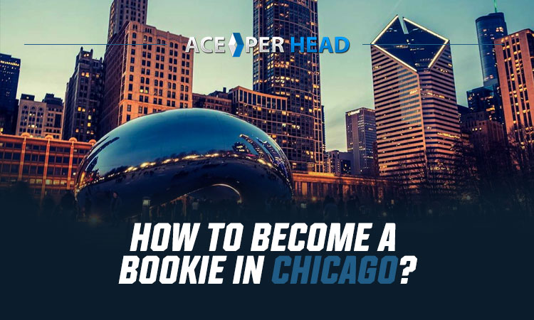 Become a Bookie in Chicago