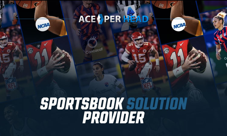 Sportsbook Solution Provider