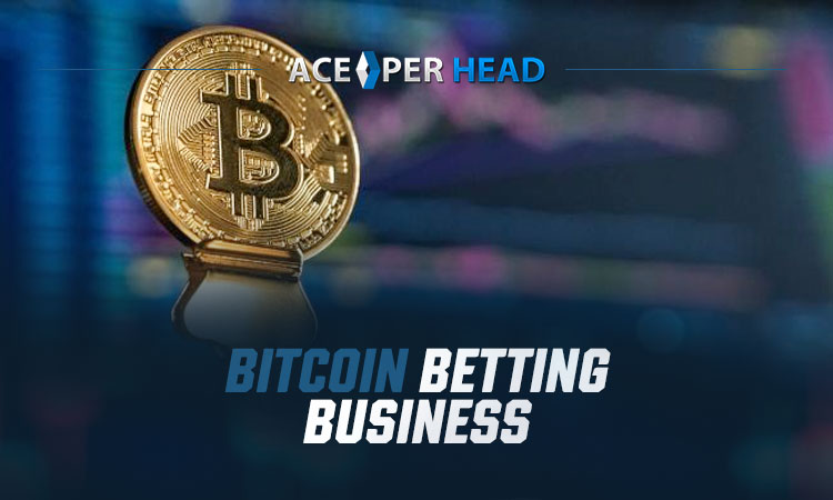 Bitcoin Betting Business